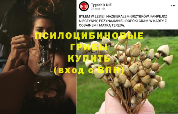 спайс Абдулино
