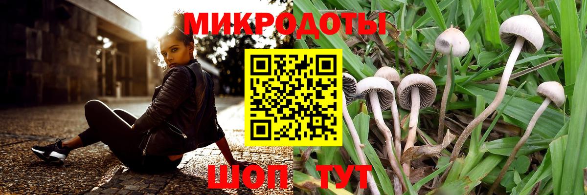 Отрадное  Псилоцибиновые грибы Cubensis  Вход с VPN 
